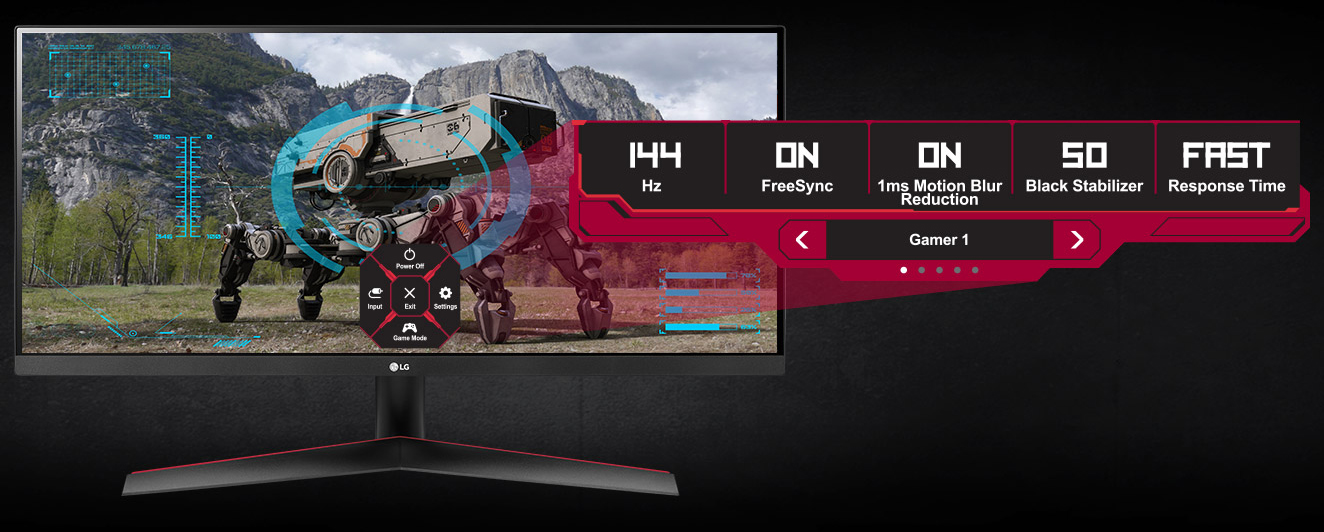 LG Monitor